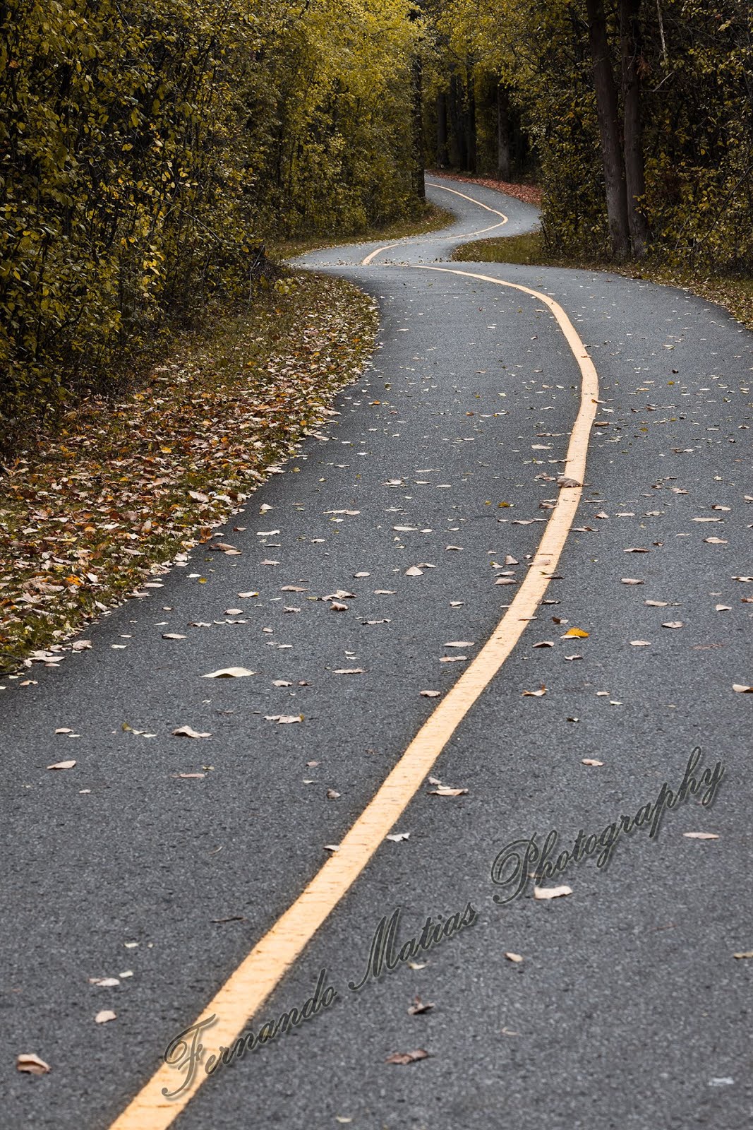 Fernando Matias Photography Ottawa Ontario Ottawa Wedding