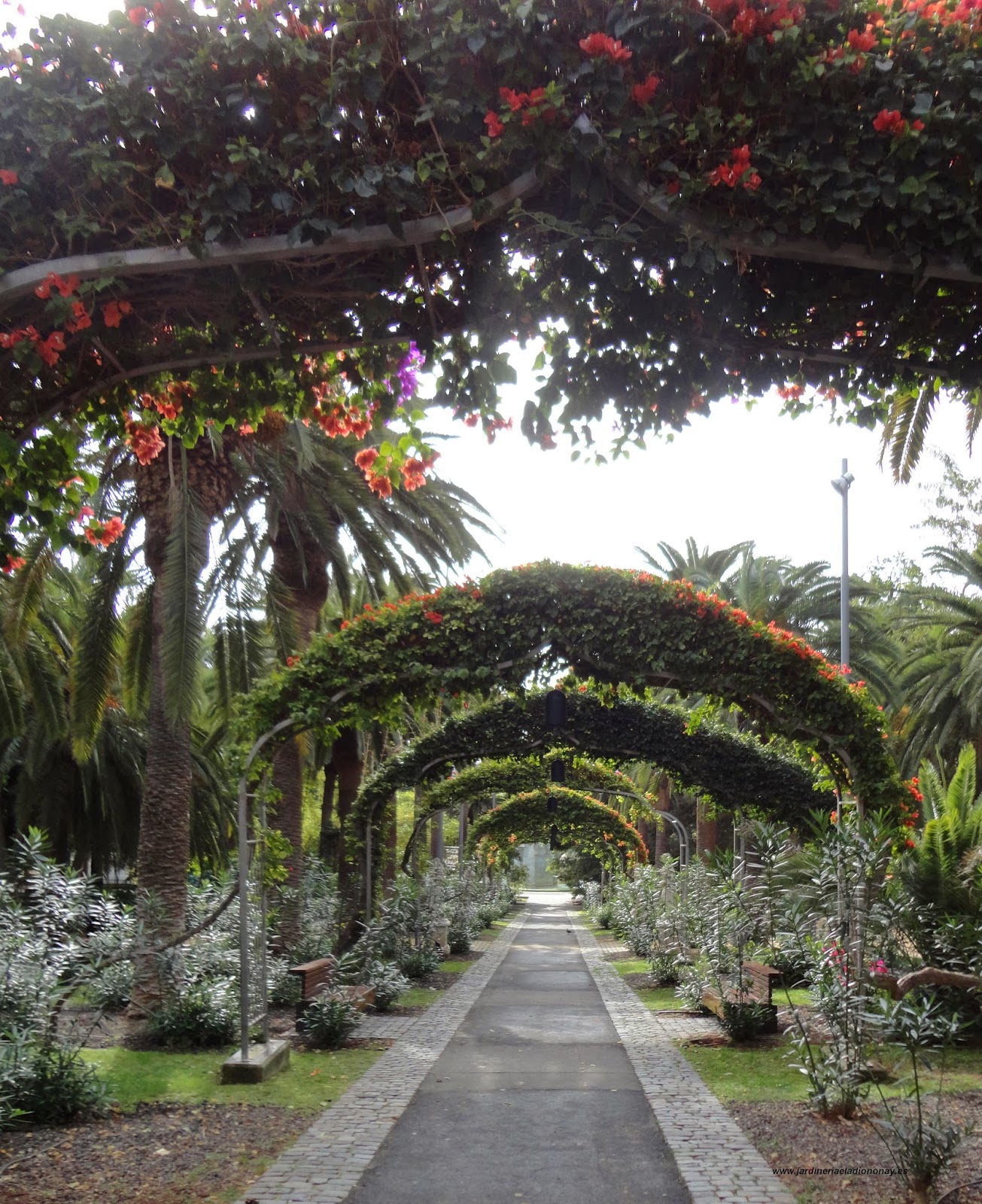 Jardineria Eladio Nonay: ARCOS EN JARDINERÍA (Jardinería Eladio Nonay)