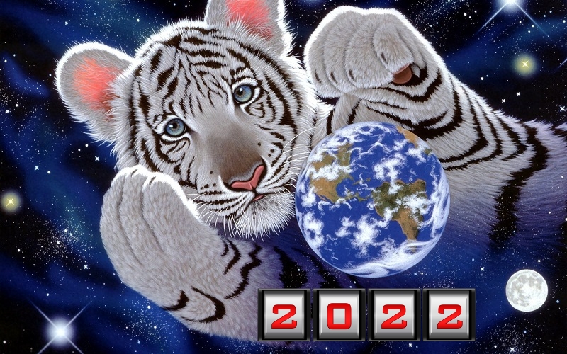 虎の年の新年の写真オンライン2023
