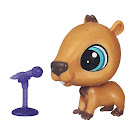 Littlest Pet Shop Singles Capsy Bara (#26) Pet