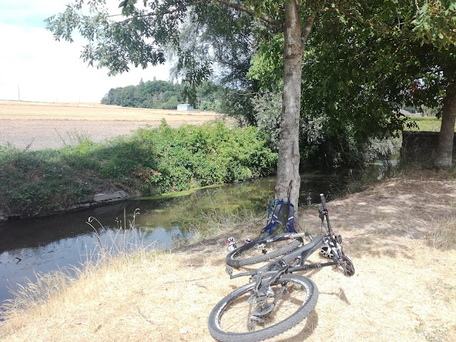 2019 - GR 32 : entre Seine et Loire, balade gâtinaise. Partie 1. Lundi 05 août 2019 IMG_20190805_140449