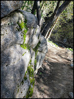 Moss Growing on Rocks along Rocky Mouth Falls Trail