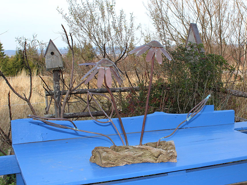 Bloomingwriter Gardening in Nova Scotia Nothing Subtle about November