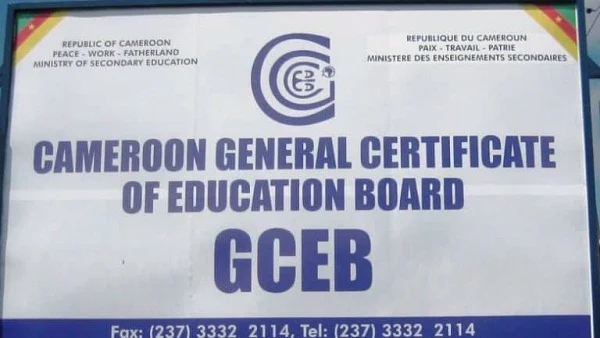 2020 GCE Examination Advanced Level Results