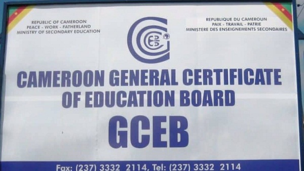2020 GCE Examination Advanced Level Results