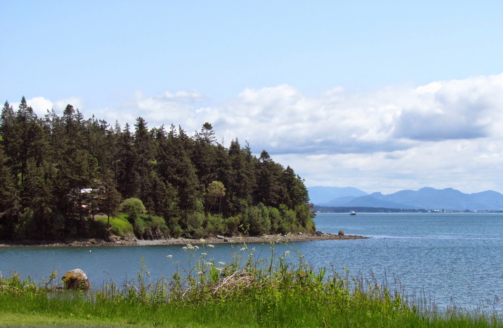 Scene Through My Eyes A Trip to Guemes Island