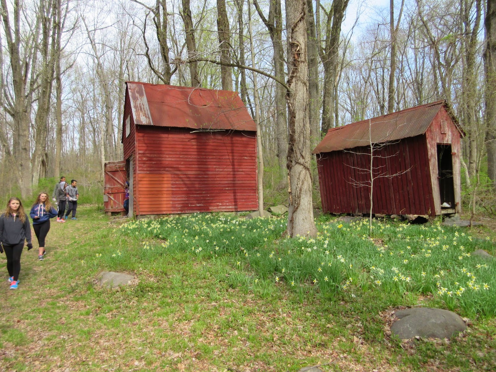 The Veblen House Stone Hill Church Volunteers Clear Old Barn Site