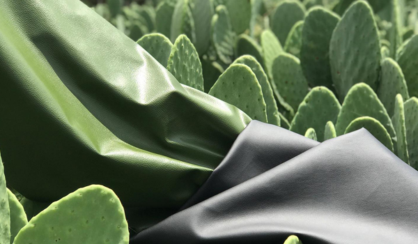 Leather Made from a Cactus | Cactus Leather - Amazing Cool Pictures | Most Amazing and Cool