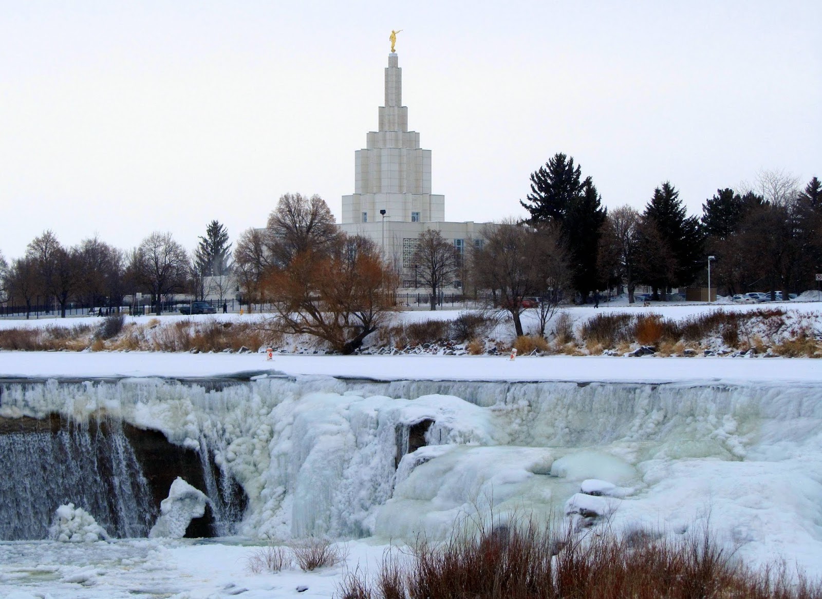 Keeping Focused: Idaho Falls Temple and Ducks