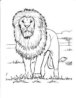 Desenhos de leão