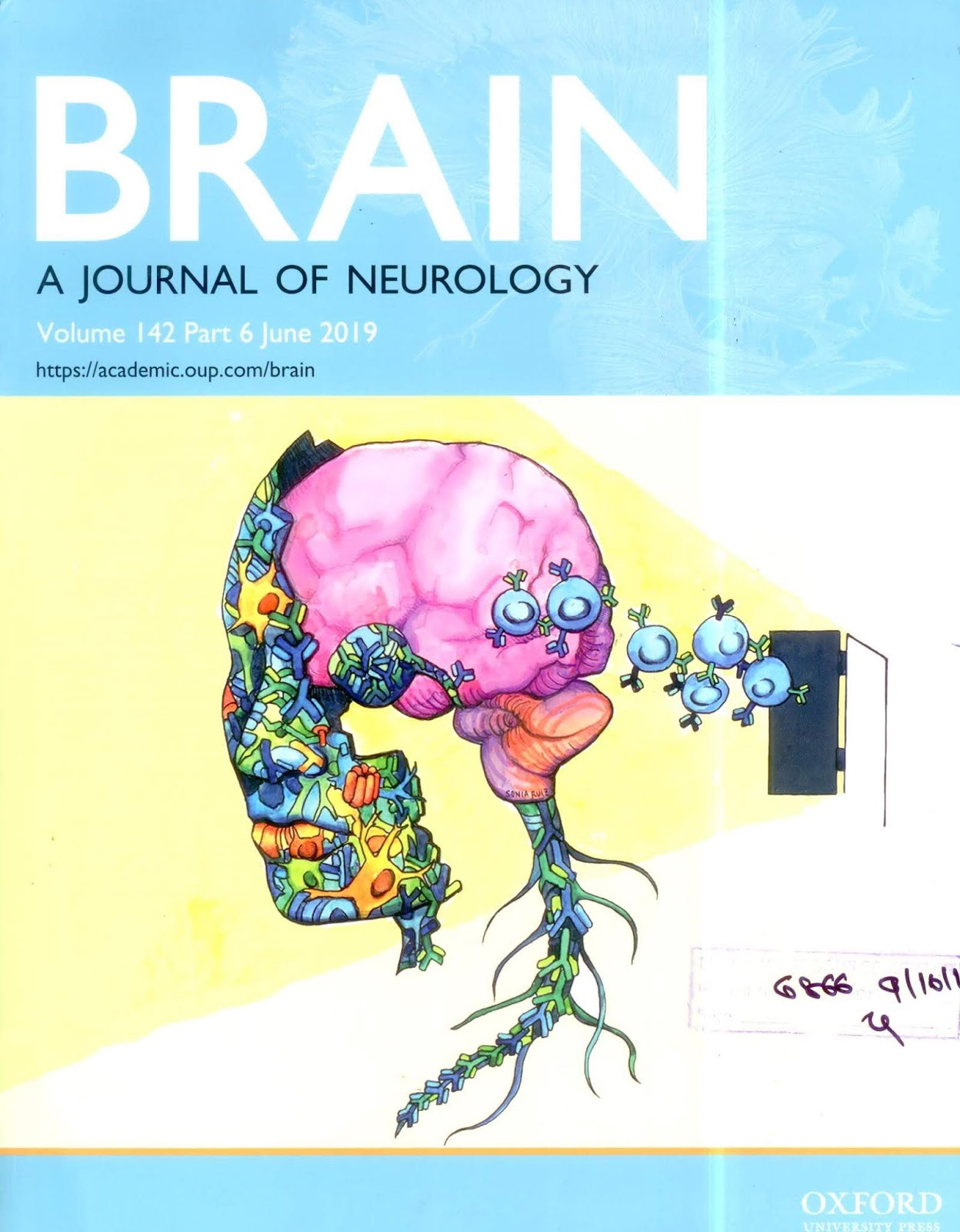 https://academic.oup.com/brain/issue/142/6