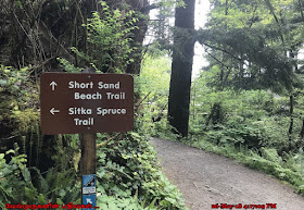 Short Sand Beach Trail Oregon