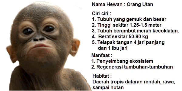 Terbaik Dari Poster  Hewan  Dan  Tumbuhan  Yang Dilestarikan 