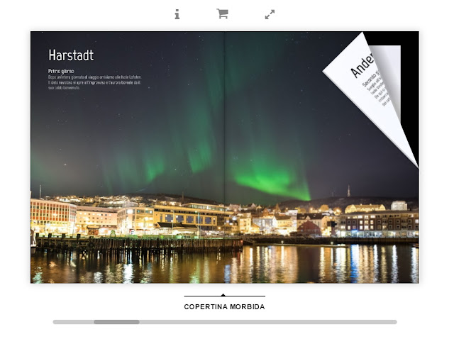 Isole Lofoten verso nord con Simon's passion 4 Travel northern lights Harstadt Isole Lofoten verso nord con Simon's passion 4 Travel northern lights Harstadt