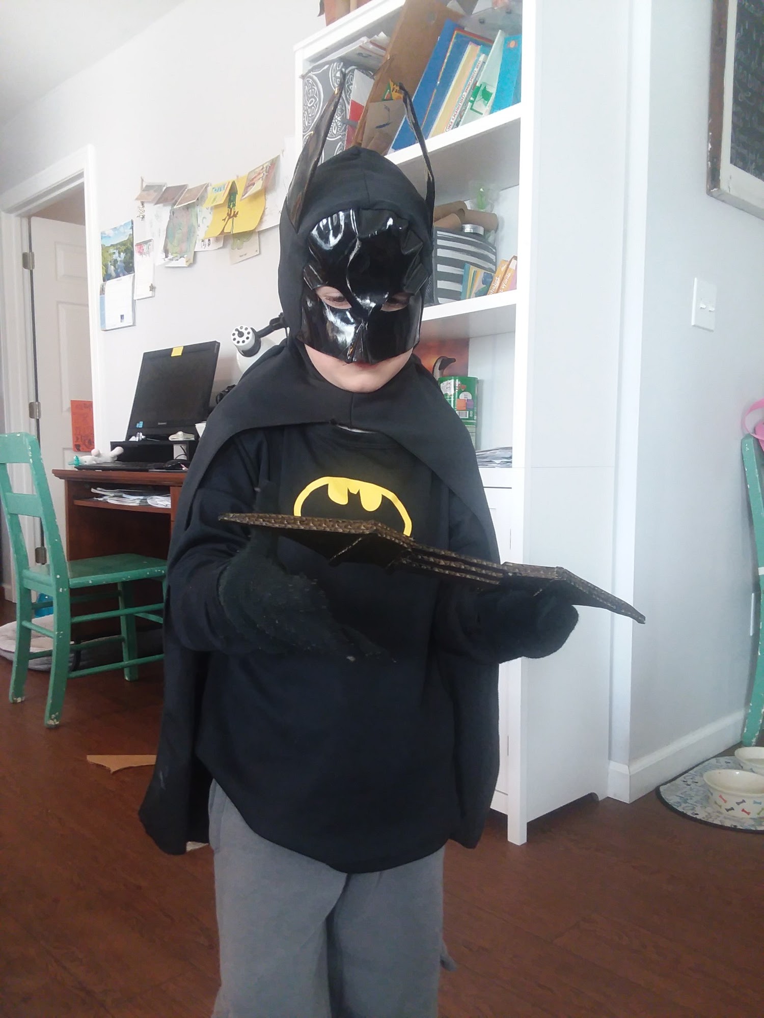 Murray & Candace's Adventures Bat Boomerang...