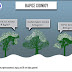 Το Meteo.gr εξηγεί .....Το πιο υγρό και πιο βαρύ χιόνι από τη Μήδεια ....έριξε αρκετά δέντρα 