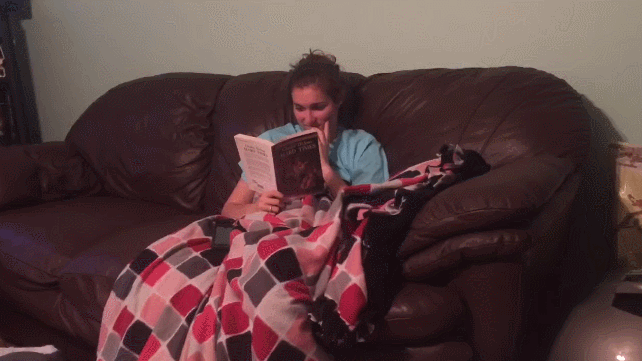 Auf dem Sofa in Ruhe ein Buch lesen - witziger Hund