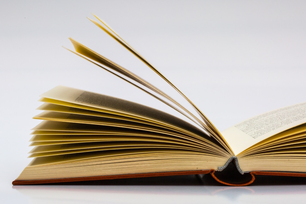 Buku Bajakan Yang Ada di Rak Buku Saya