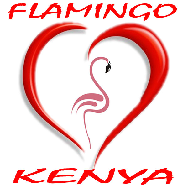 Flamingo Kenya