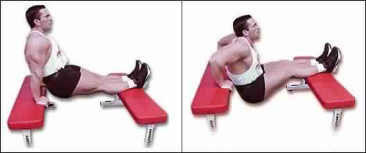 The 8 Best Triceps Exercises Of All Time Gym Workout