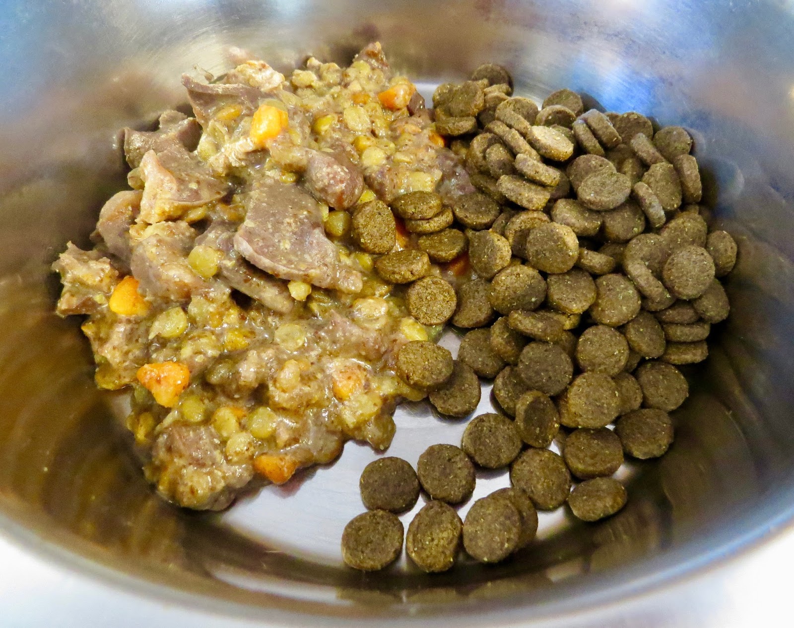 Slow Food—Healthy Food Turkey Gizzards For Your Dogs