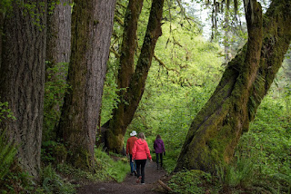 out door journey state park