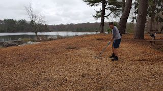 Deputy Town Administrator Jamie Hellen helped to knock down and spread out a pile of mulch Deputy Town Administrator Jamie Hellen helped to knock down and spread out a pile of mulch