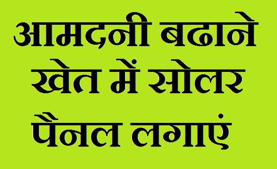 खेत में सोलर पैनल लगाएं और पैसे कमाए खेत में सोलर पैनल लगाएं और पैसे कमाए