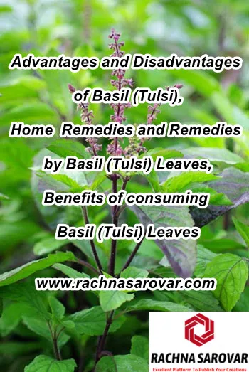 Advantages and Disadvantages of Basil (Tulsi), Home  Remedies and Remedies by Basil (Tulsi) Leaves, Benefits of consuming Basil (Tulsi) Leaves