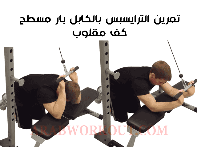 تمارين الترايسبس للمحترفين تمارين الترايسبس للمحترفين