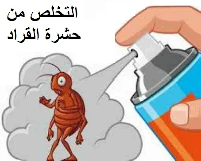 التخلص من حشرة القراد