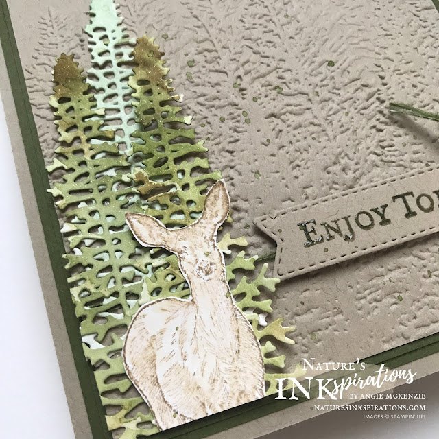 By Angie McKenzie for As You See It #245 Challenge entry; Click READ or VISIT to go to my blog for details! Featuring the Nature's Beauty Stamp Set, the Majestic Mountain Dies and the Evergreen Forest 3D Embossing Folder; #AYSI245 #stampinup #handmadecards #naturesinkspirations #masculinecards #cardchallenges #goodmorningmagnoliastampset  #makingotherssmileonecreationatatime #naturesbeautystampset #evergreenforest3dembossingfolder #tastefullabelsdies #coloringwithwaterpainters #cardtechniques #fussycutting