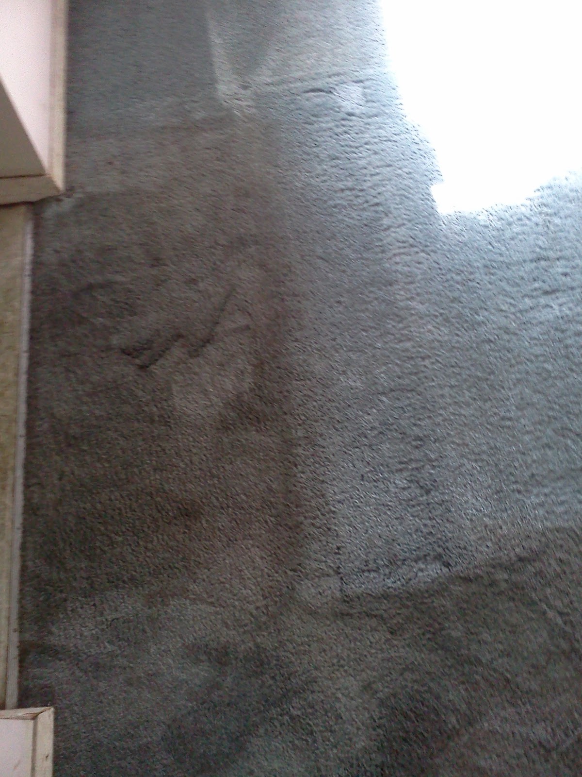 Cooper's Carpet Cleaning and Floor Care Blog