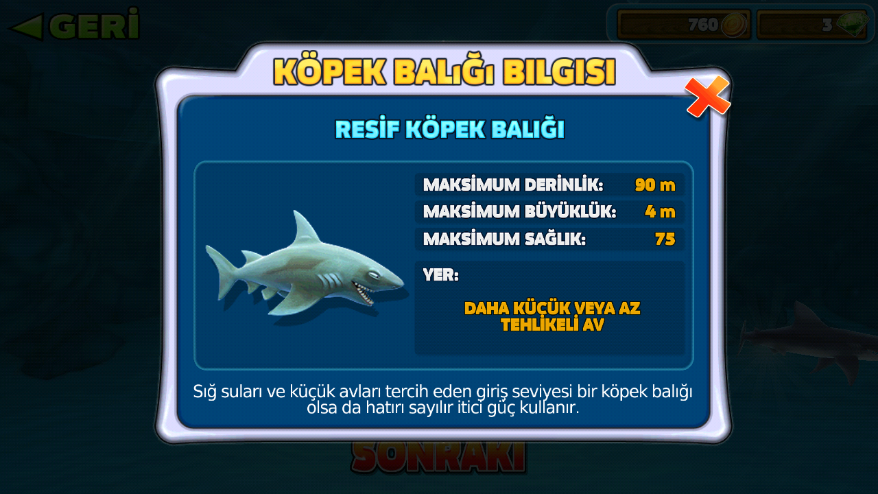 белая акула кархародон. данные акулы. Carcharodon carcharias. лимонная акула акула. акула мегалодон.