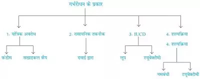 10 Class Science Notes in hindi chapter 8 How do Organisms Reproduce Reproduction