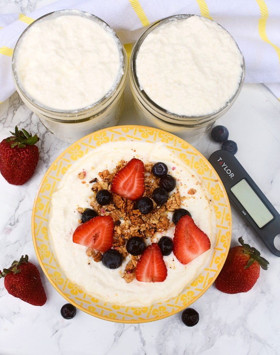How to Make Homemade Yogurt The Nutritionist Reviews