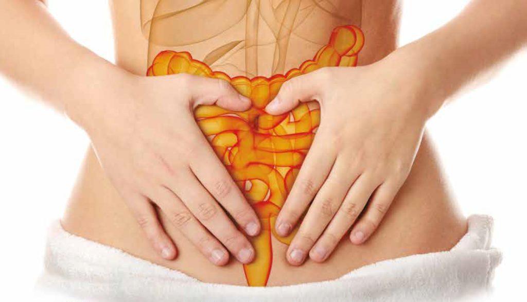 Intestinal+Health.jpg (1024×587)