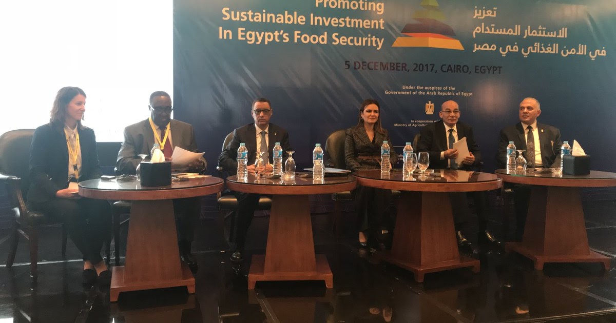 Promoting Sustainable Investment in Egypt’s Food Security Egypt eyes