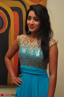 Bhanu Tripathi in Sleeveless Floor Lenght Anarkali gown At Desire Exhibition Launch 001