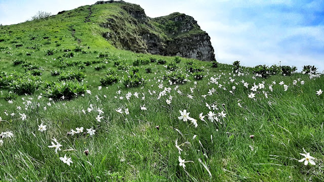 bivacco dei loff