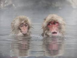 Creation or Evolution (Bagian-1)