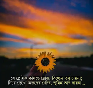 60+ Best Bengali Quotes Images In 2020 | Bangla Quotes