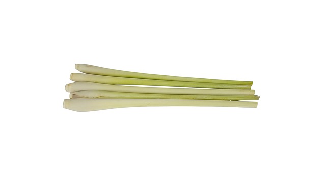 These culinary herbs in the kitchen can enhance the taste of your food