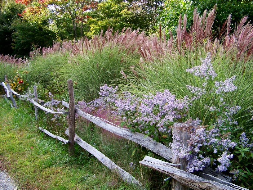 Outside Clyde: Into A Wild Cultivated Garden