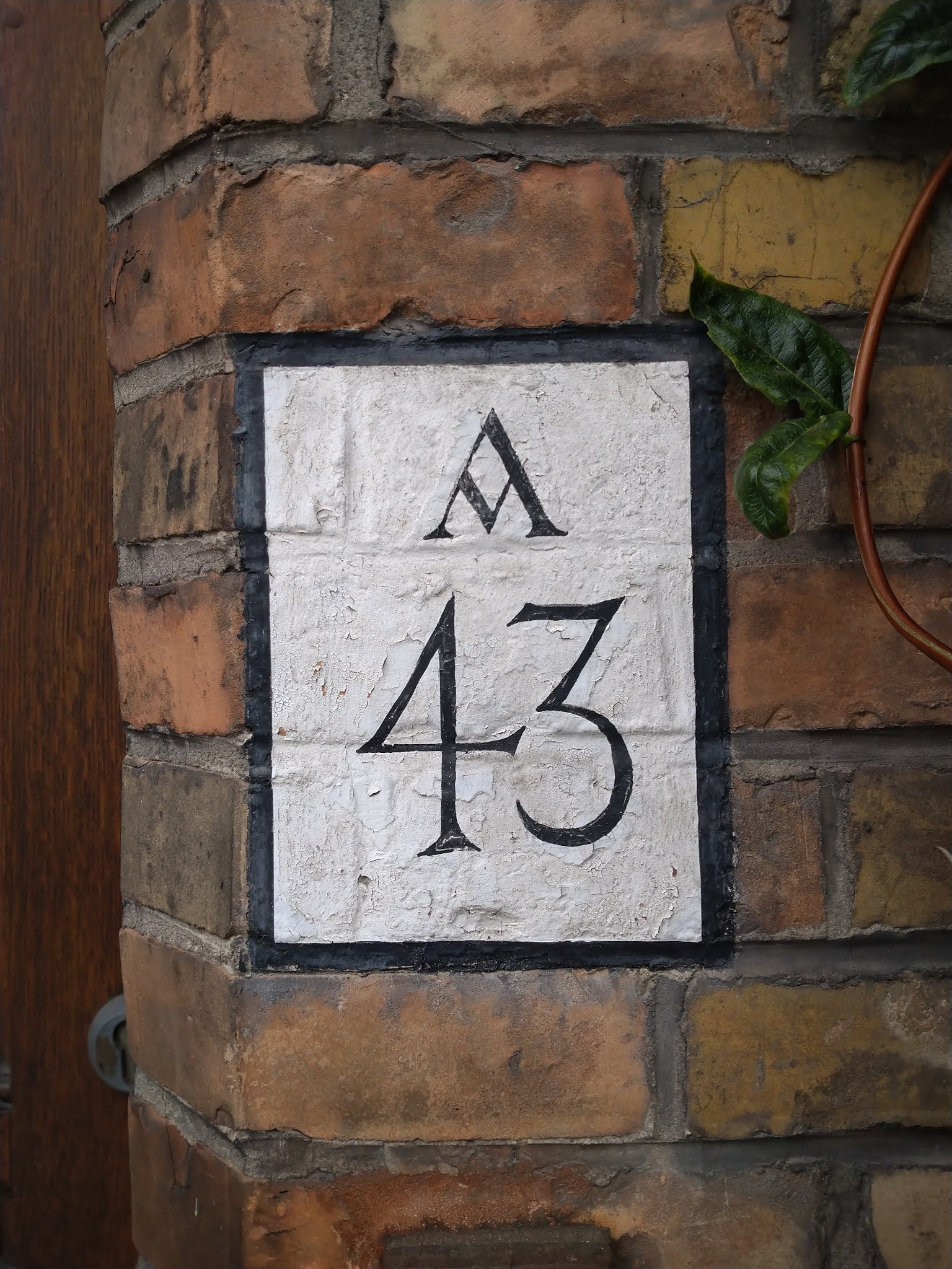 number-43-number-forty-three