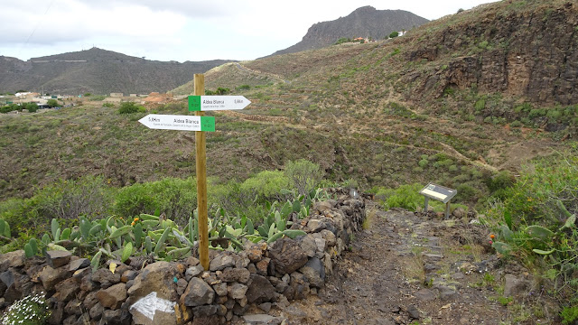 Barranco del Drago, Tenerife