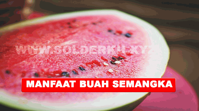 MANFAAT BUAH SEMANGKA UNTUK KESEHATAN