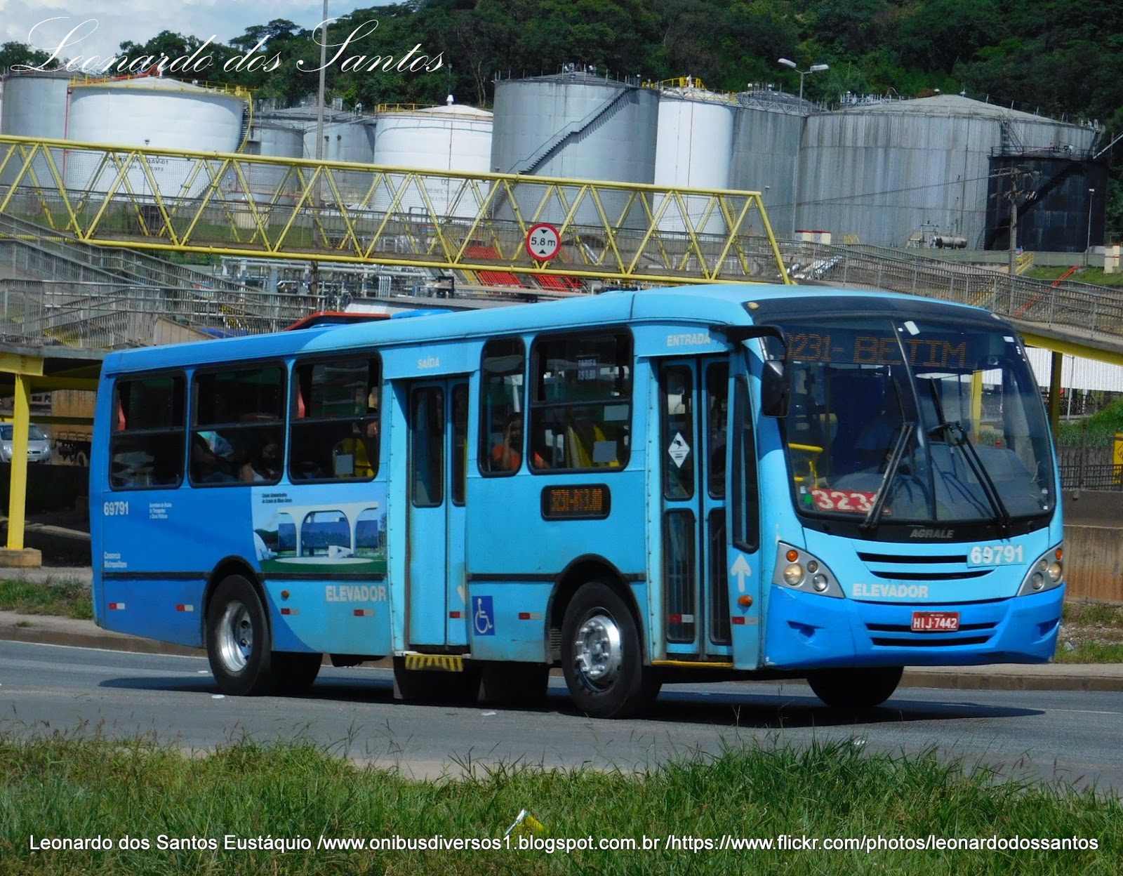 ONIBUS DIVERSOS 1 VIAÇÃO SANTA EDWIGES