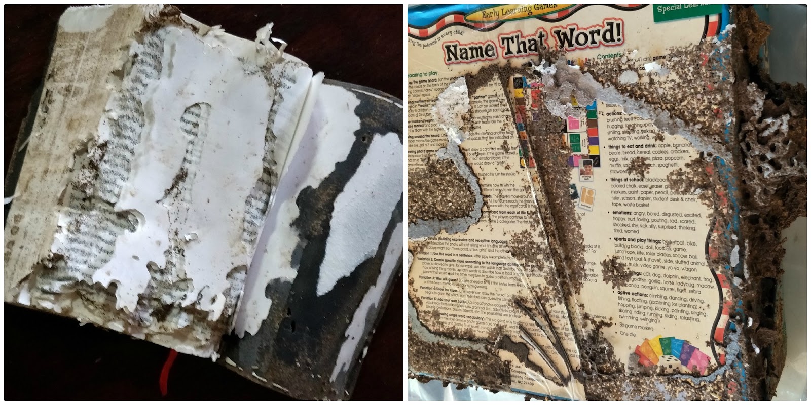 The Living Field December Update 2017