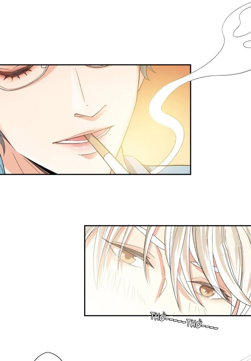 Đọc truyện Pheromone phi lý - Chapter 3